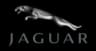 جاكوار