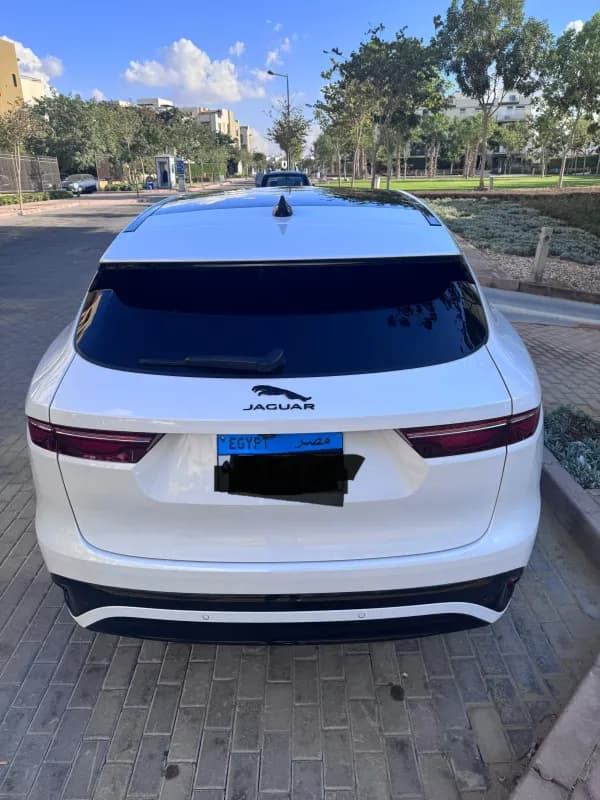 Jaguar F-PACE 2024 SE P250 R Dynamic White Automatic — Used