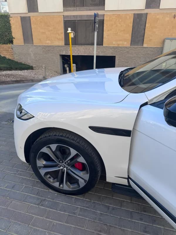 Jaguar F-PACE 2024 SE P250 R Dynamic White Automatic — Used
