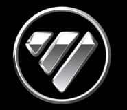 Foton brand logo