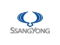  سانج يونج  brand logo