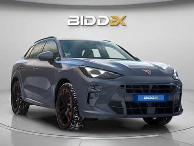 كوبرا تيرامار 2025