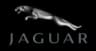 جاكوار
