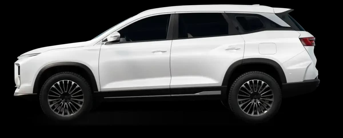 سويست S09 2027 فلاج شيب أبيض أوتوماتيك — جديدة