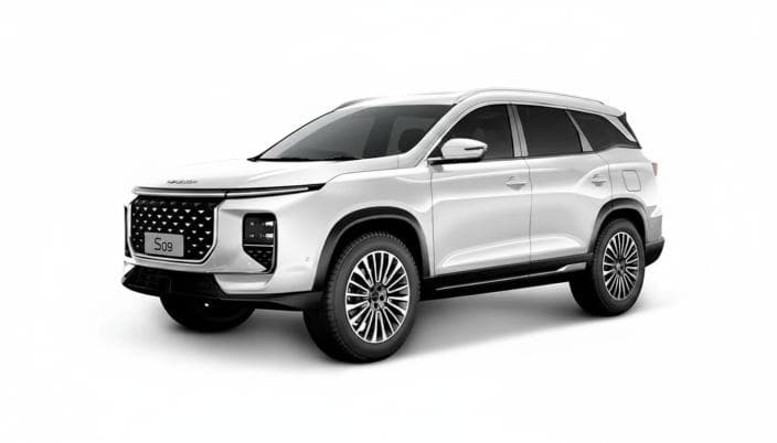 سويست S09 2027 فلاج شيب أبيض أوتوماتيك — جديدة