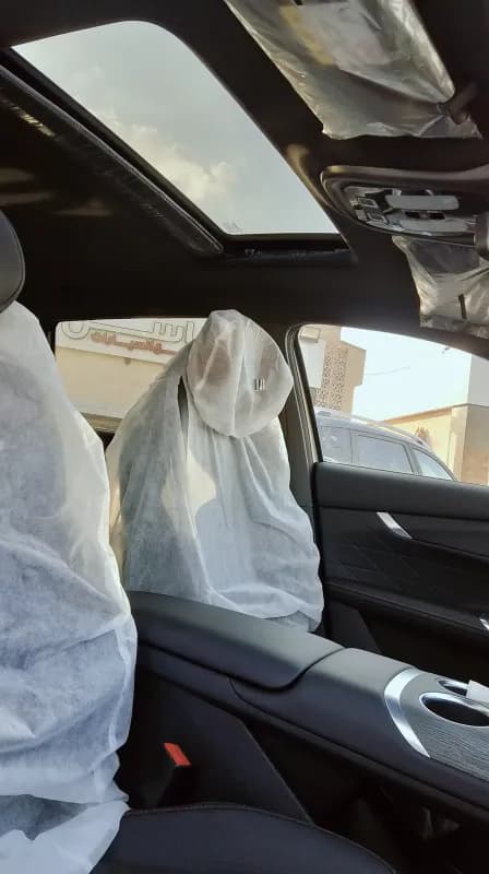 تشانغان سي اس ٧٥ بلاس 2026 فلاج شيب شمبانيا أوتوماتيك — جديدة