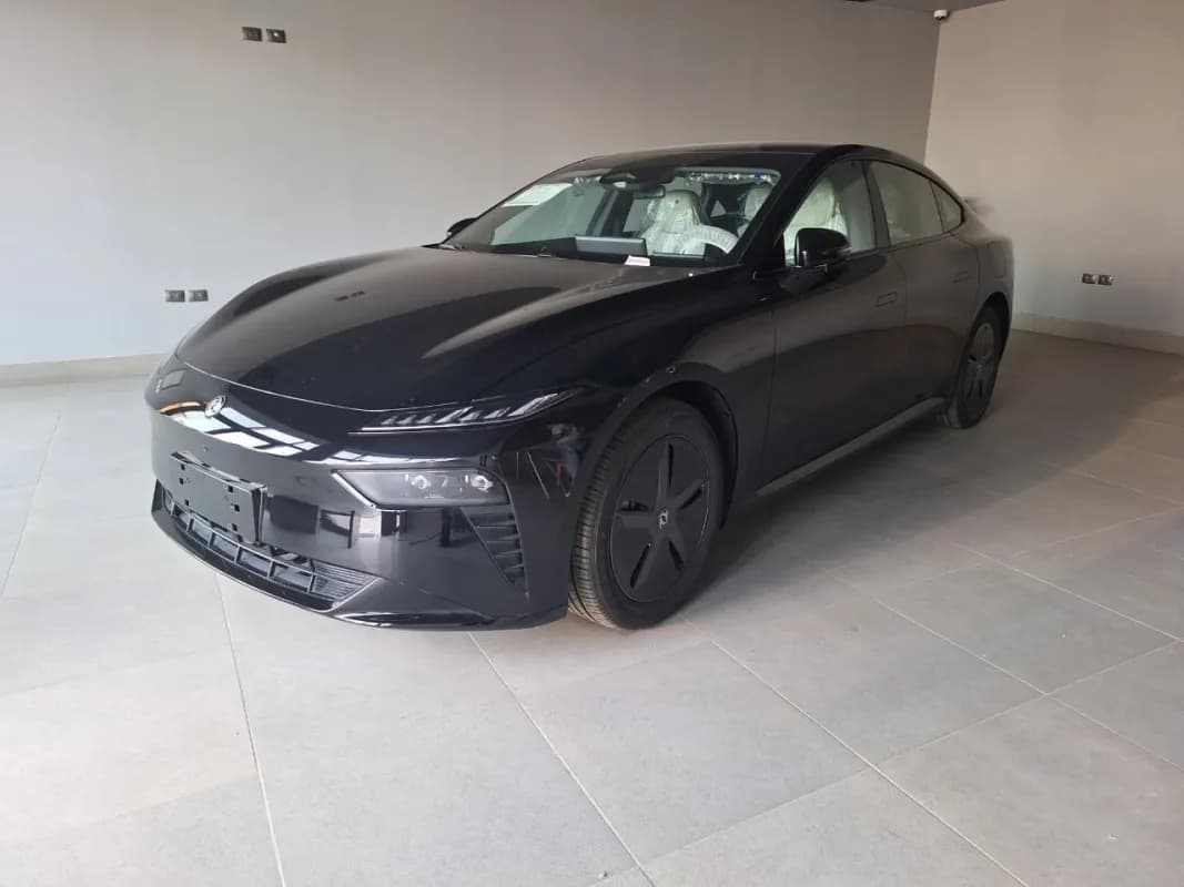 دونج فينج 007 2026 رييف أسود أوتوماتيك — جديدة