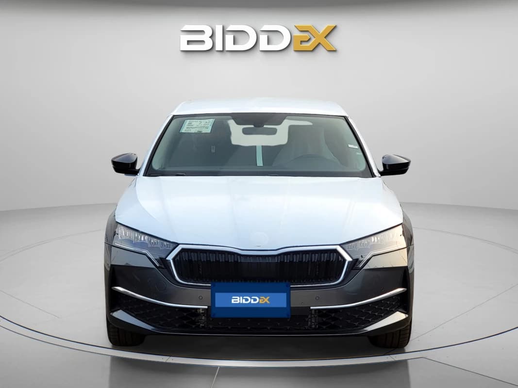 Skoda Octavia A8 2025 Lounge Gray Automatic — New