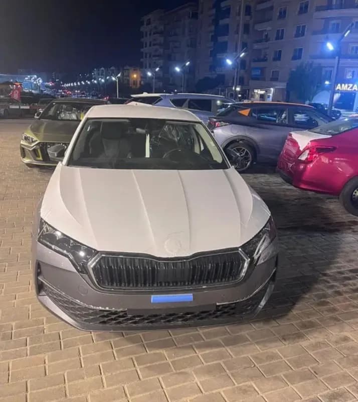 Skoda Octavia A8 2026 Lounge Gray Automatic — New