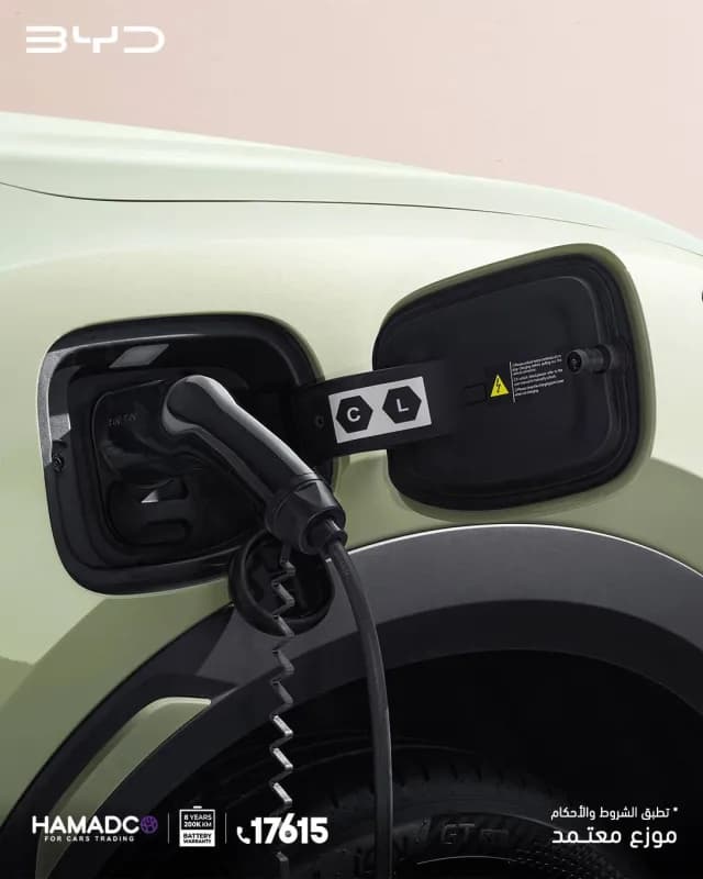 BYD Atto 2 2027 Luxury Green Automatic — New