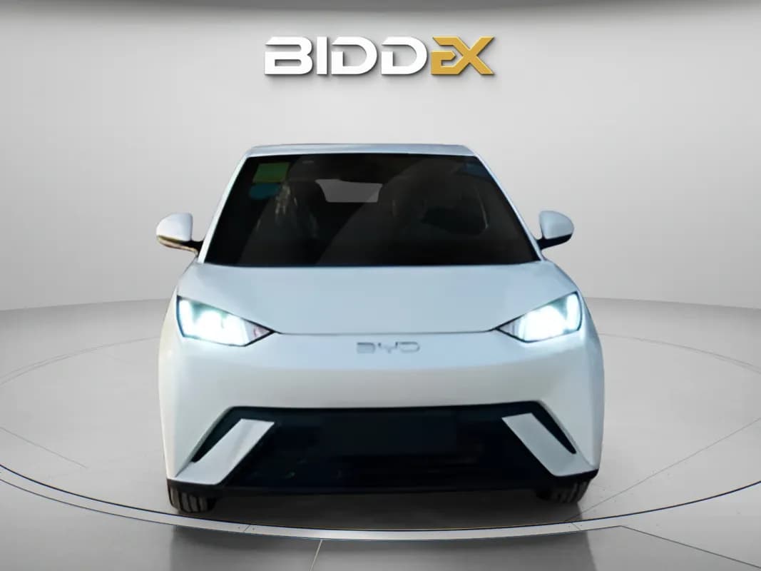 بي واي دي سي جال 2025 فلاي أبيض أوتوماتيك — جديدة