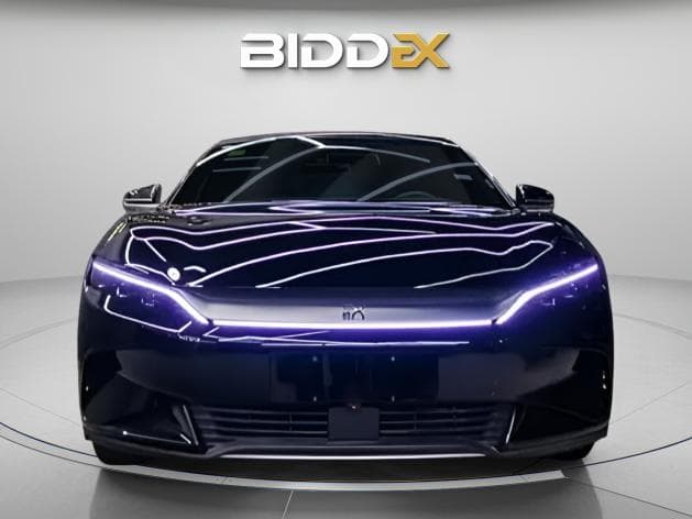 بي واي دي هان 2025