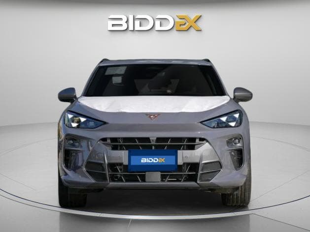 كوبرا تيرامار 2025