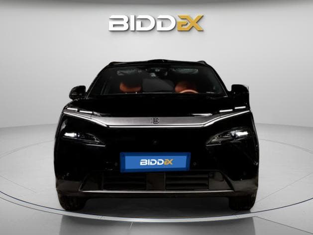 بي واي دي تانج ال 2025