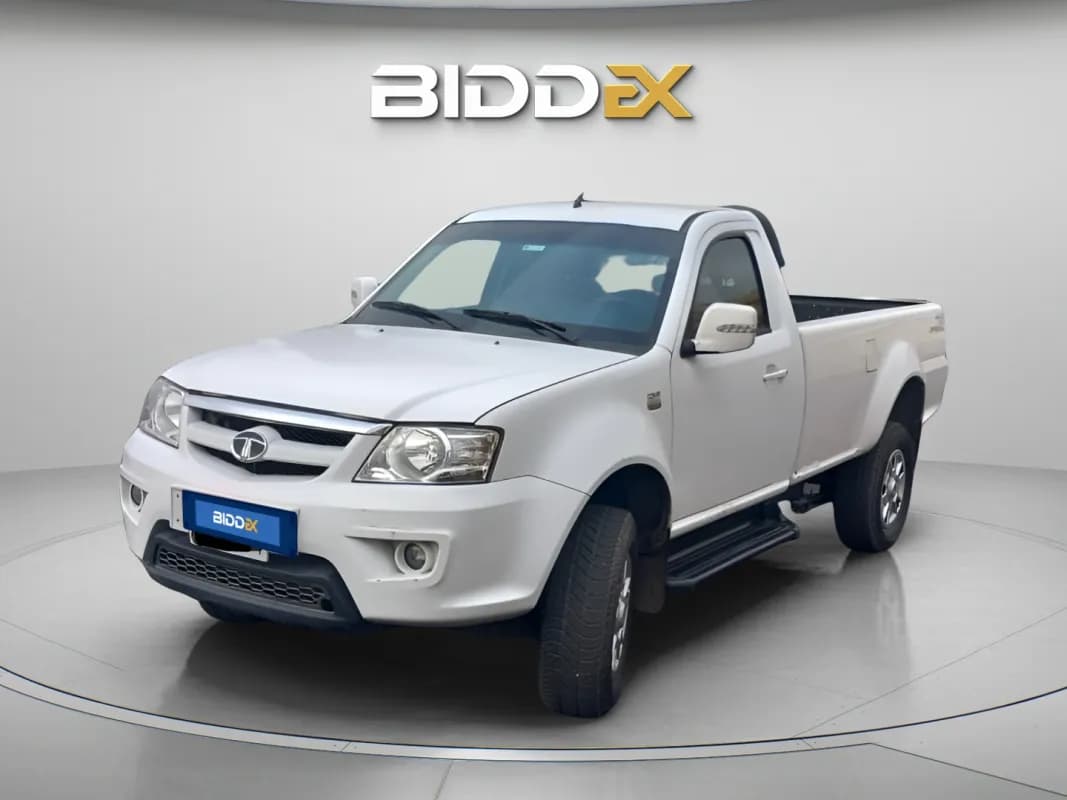 تاتا زينون 2024