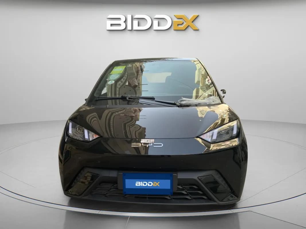 بي واي دي سي جال 2023