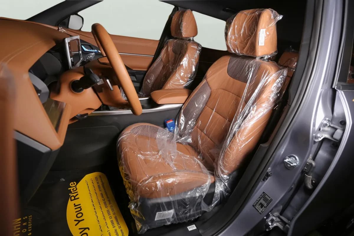 سانج يونج توريس 2024