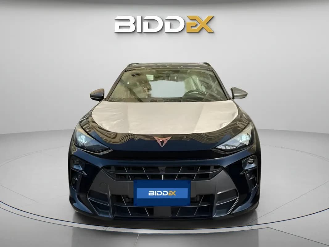 كوبرا تيرامار 2025