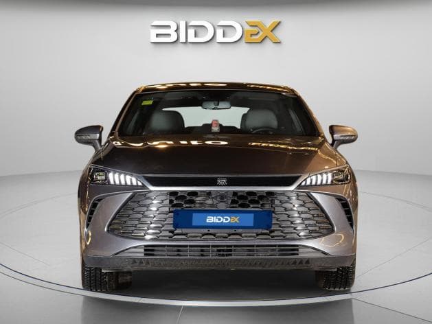 بي واي دي كين بلس 2025