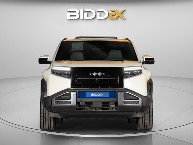 بي واي دي ليوبارد 2025